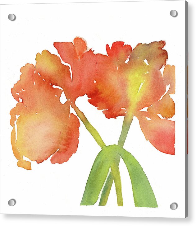 Iris 01 1 - acrylic Print 1artcollection