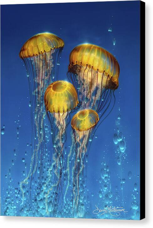 Jelly Sea 2 - Canvas Print Canvas Print 1ArtCollection