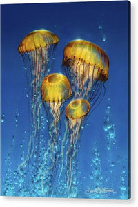 Jelly Sea 2 - Acrylic Print Acrylic Print 1ArtCollection