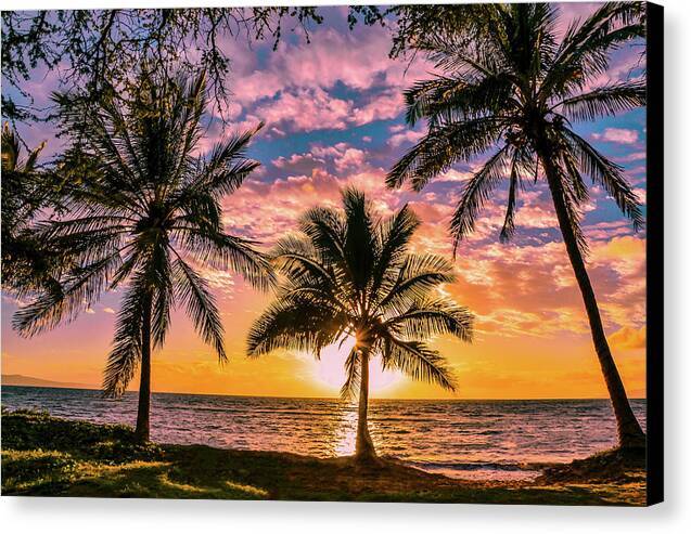 Kihei Sunny Palms 1 - Canvas Print Canvas Print 1ArtCollection