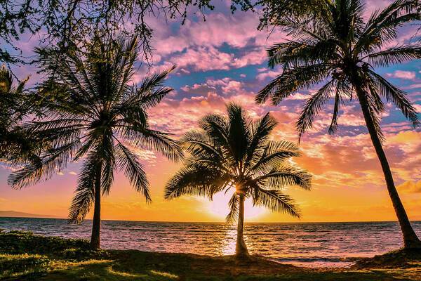 Kihei Sunny Palms 1 - Art Print Art Print 1ArtCollection