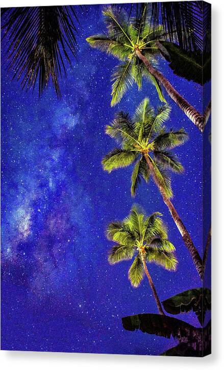 Lahaina Starry Night 1 - Canvas Print Canvas Print 1ArtCollection