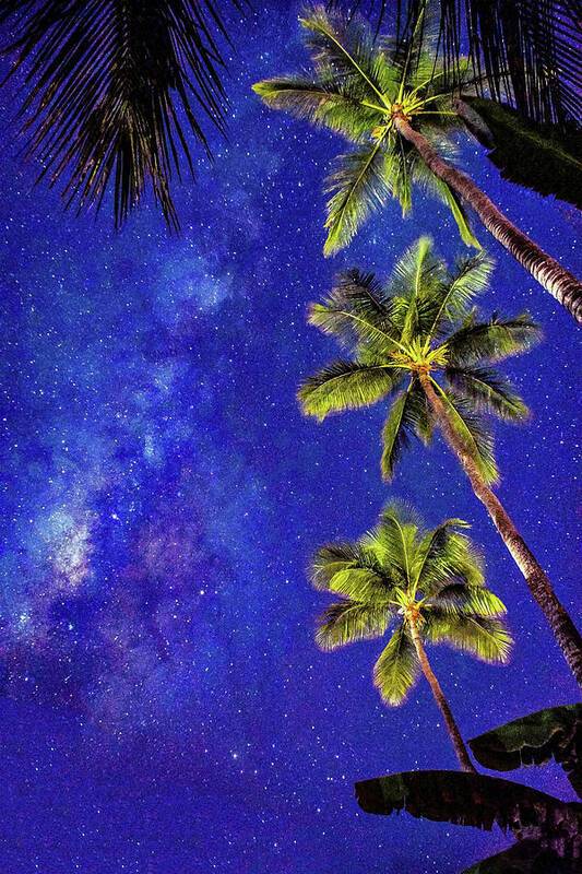 Lahaina Starry Night 1 - Art Print Art Print 1ArtCollection