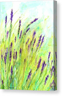 Lavender 1 - Canvas Print