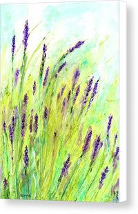 Lavender 1 - Canvas Print