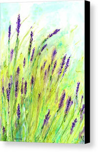 Lavender 1 - Canvas Print