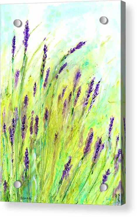 Lavender 1 - Acrylic Print