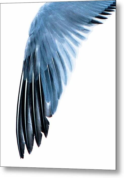 Left Wing 1 - Metal Print