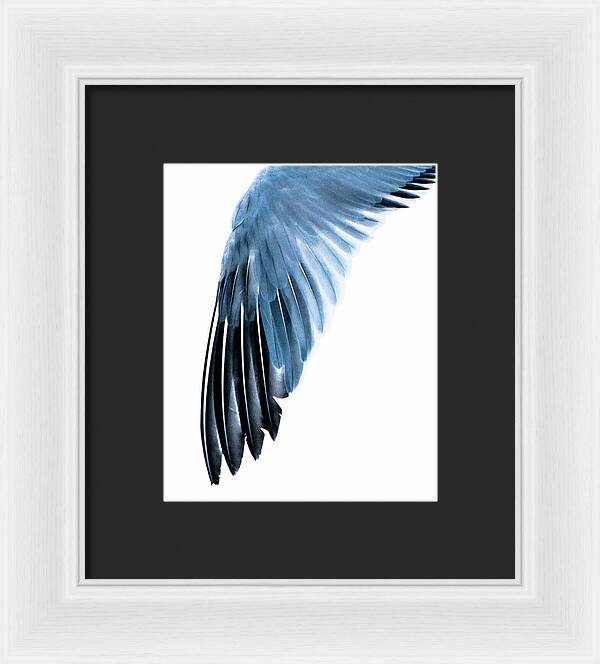 Left Wing 1 - Framed Print