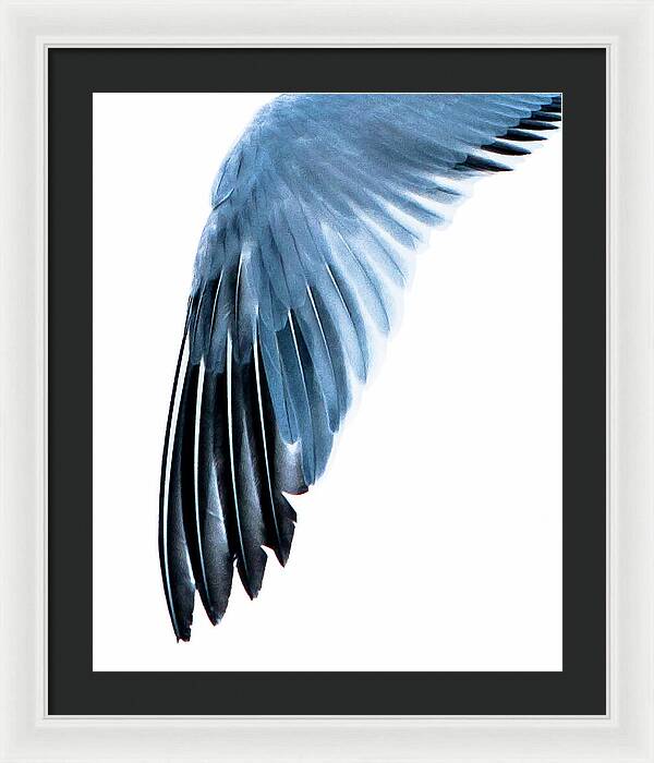 Left Wing 1 - Framed Print