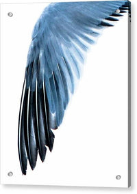 Left Wing 1 - Acrylic Print