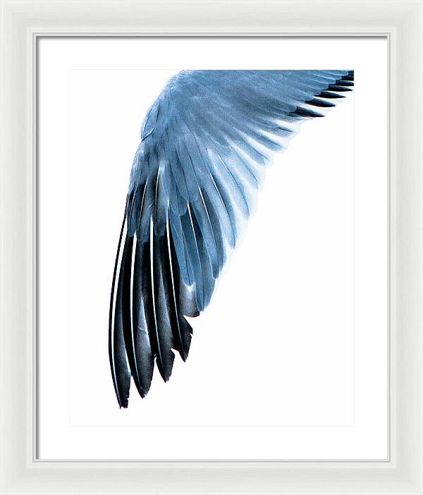 Left Wing 1 - Framed Print