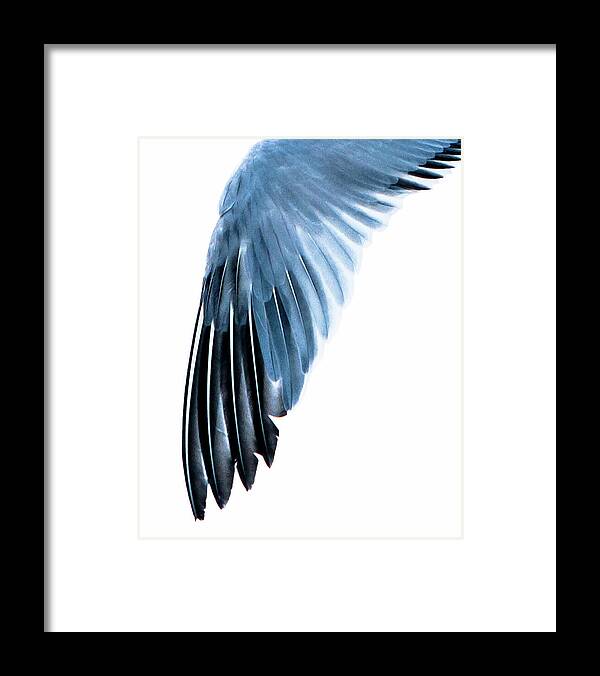 Left Wing 1 - Framed Print