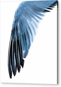 Left Wing 1 - Acrylic Print