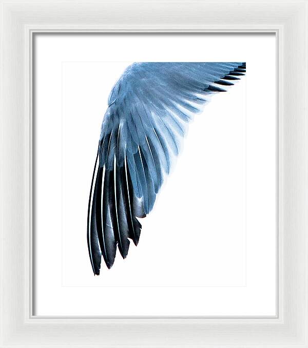 Left Wing 1 - Framed Print