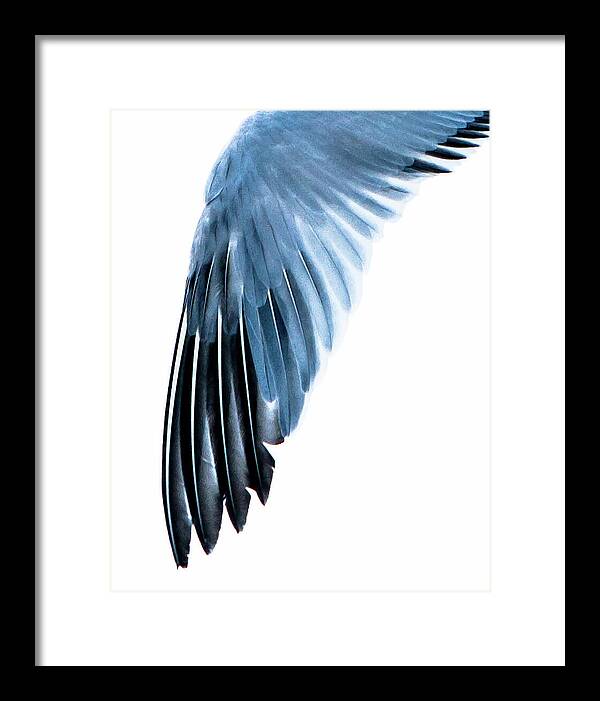 Left Wing 1 - Framed Print