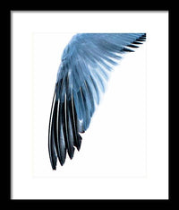 Left Wing 1 - Framed Print