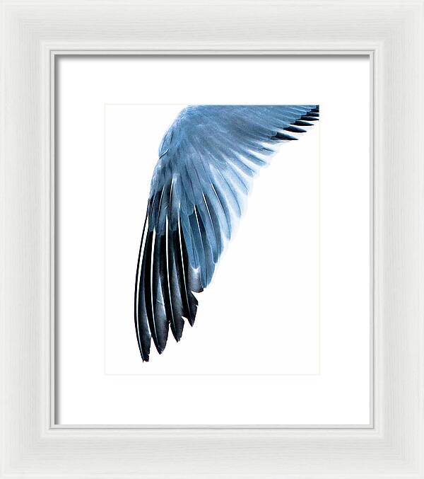 Left Wing 1 - Framed Print