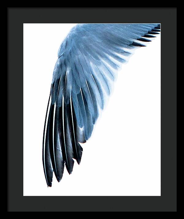 Left Wing 1 - Framed Print