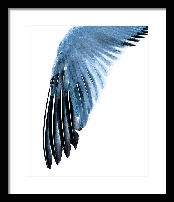 Left Wing 1 - Framed Print