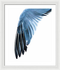 Left Wing 1 - Framed Print