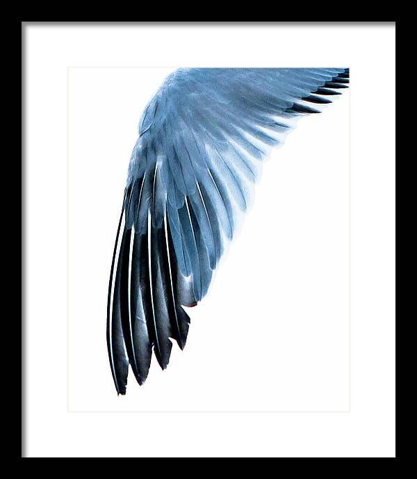 Left Wing 1 - Framed Print