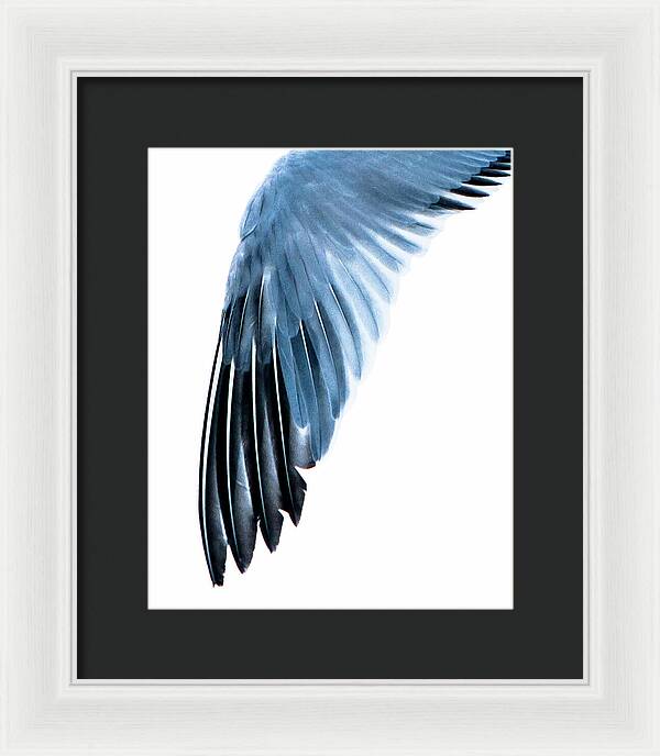 Left Wing 1 - Framed Print