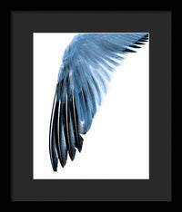 Left Wing 1 - Framed Print