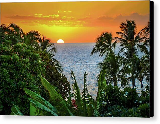 Lost in Paradise 1 - Canvas Print Canvas Print 1ArtCollection