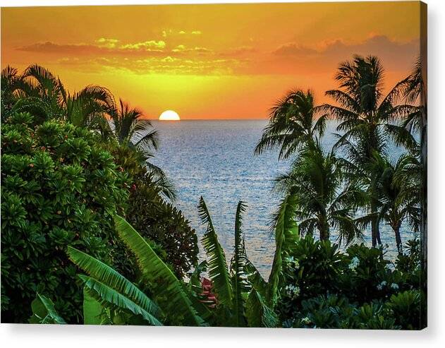 Lost in Paradise 1 - Acrylic Print Acrylic Print 1ArtCollection