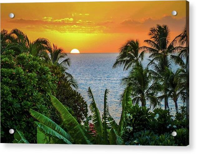 Lost in Paradise 1 - Acrylic Print Acrylic Print 1ArtCollection