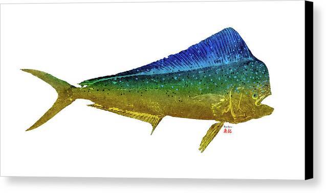 Mahi Bull 1 - Canvas Print Canvas Print 1ArtCollection