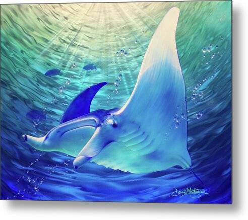 Manta Dive 1 - Metal Print Metal Print 1ArtCollection