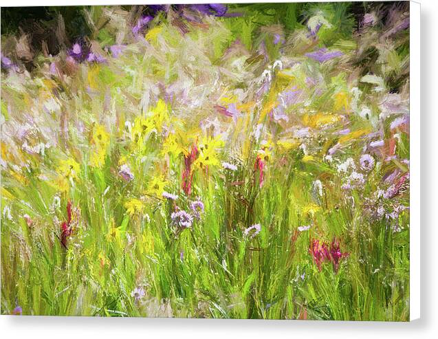 Mountain Wildflowers 1 - Canvas Print