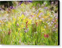 Mountain Wildflowers 1 - Canvas Print