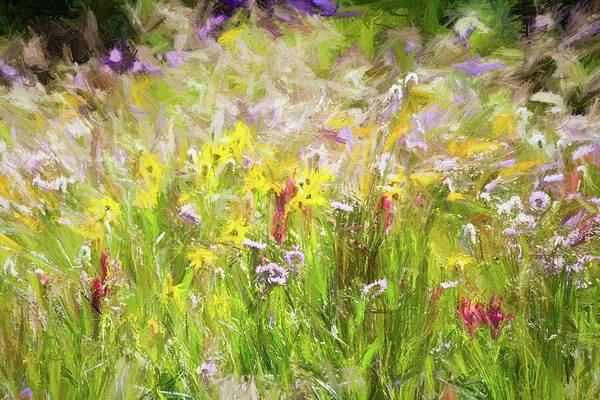 Mountain Wildflowers 1 - Art Print