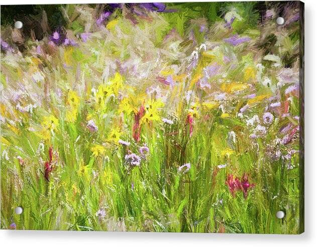 Mountain Wildflowers 1 - Acrylic Print