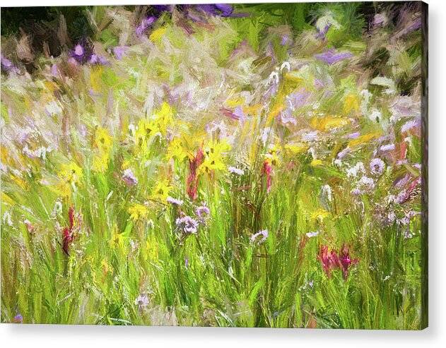 Mountain Wildflowers 1 - Acrylic Print