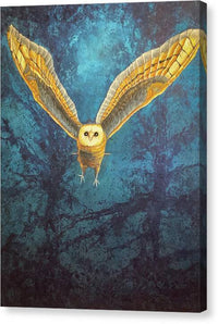 Night Owl 1 - Canvas Print Canvas Print 1ArtCollection