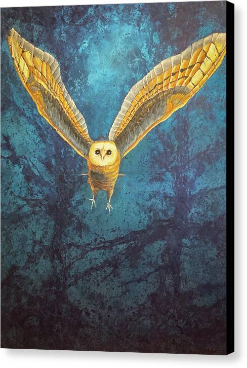 Night Owl 1 - Canvas Print Canvas Print 1ArtCollection