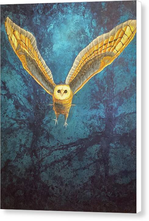 Night Owl 1 - Canvas Print Canvas Print 1ArtCollection