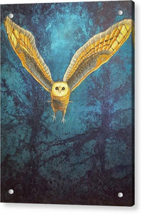 Night Owl 1 - Acrylic Print Acrylic Print 1ArtCollection