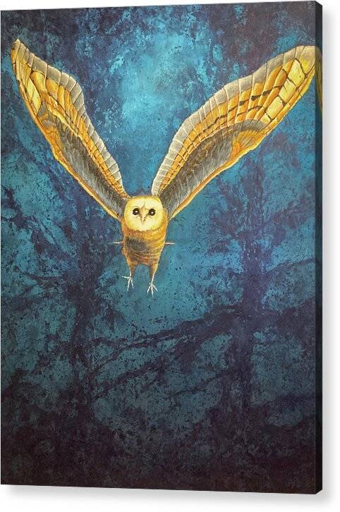 Night Owl 1 - Acrylic Print Acrylic Print 1ArtCollection