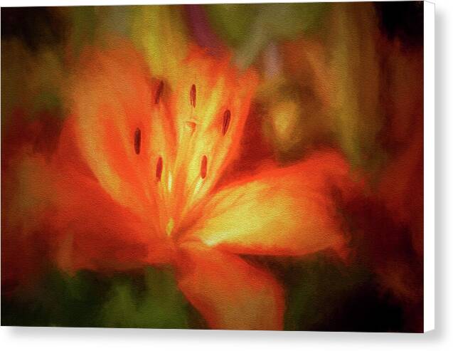 Orange Lily 1 - Canvas Print