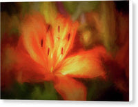 Orange Lily 1 - Canvas Print