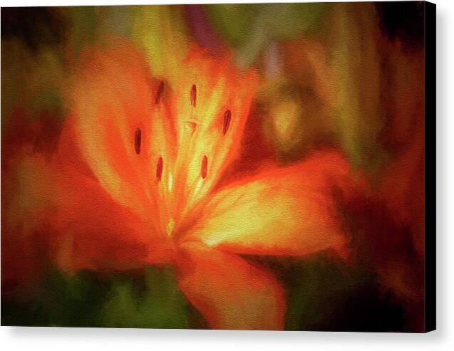 Orange Lily 1 - Canvas Print