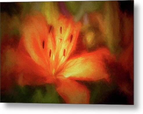 Orange Lily 1 - Metal Print