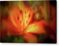 Orange Lily 1 - Acrylic Print