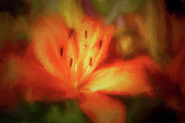 Orange Lily 1 - Art Print