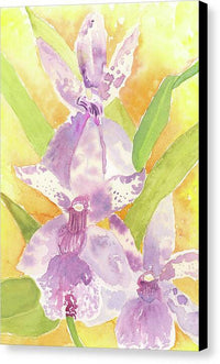 Orchid 02 1 - Canvas Print Canvas Print 1ArtCollection